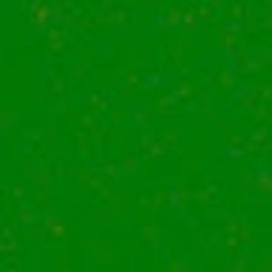 Meet your Posher, Ellie